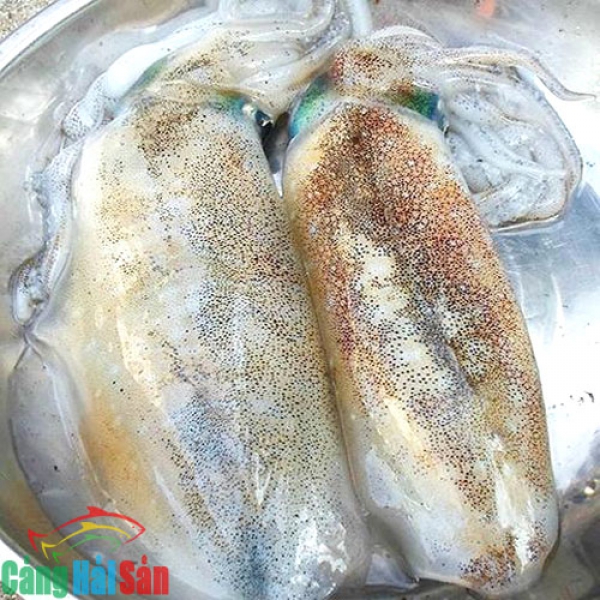 Mực Lá